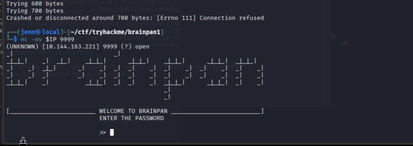 Netcat confirming the Brainpan service recovered and is still accepting connections